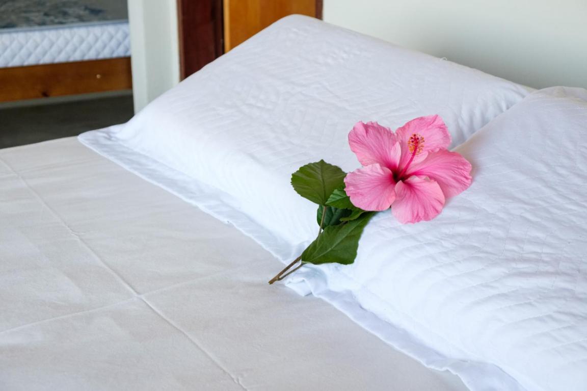 Haleiwa Chales E Suites - A Guest House Do Prumirim أوباتوبا المظهر الخارجي الصورة